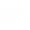 NAVISION